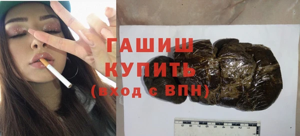 индика Богородицк