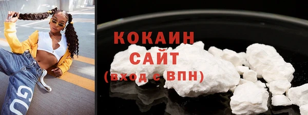 индика Богородицк