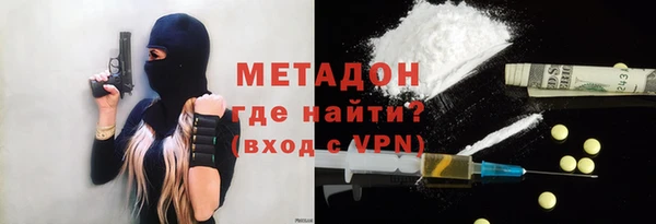 индика Богородицк