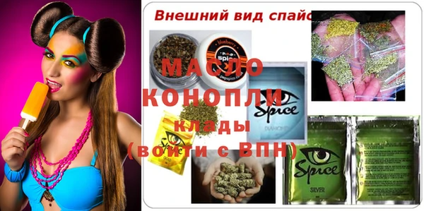 индика Богородицк