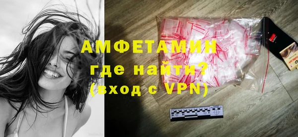 индика Богородицк