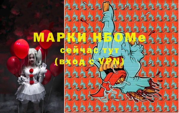 индика Богородицк