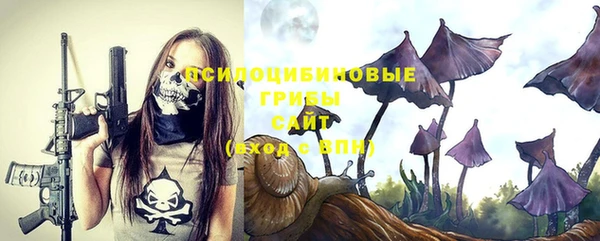 метадон Богородск