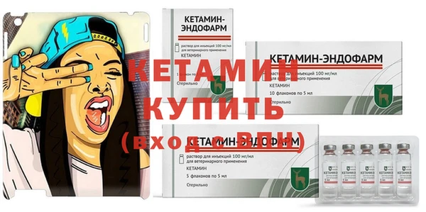 индика Богородицк