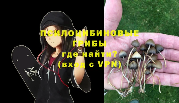 кокаин Богданович