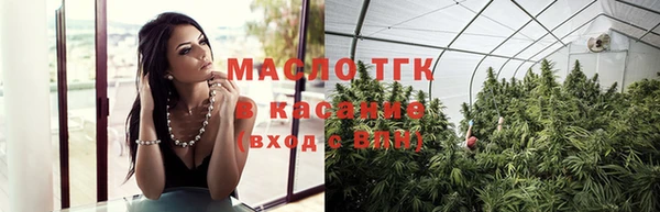 индика Богородицк