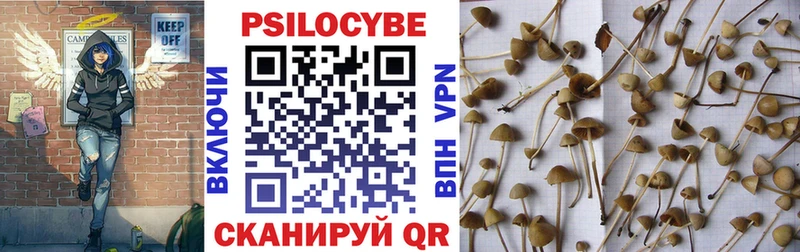 Галлюциногенные грибы мицелий shop наркотические препараты Игарка